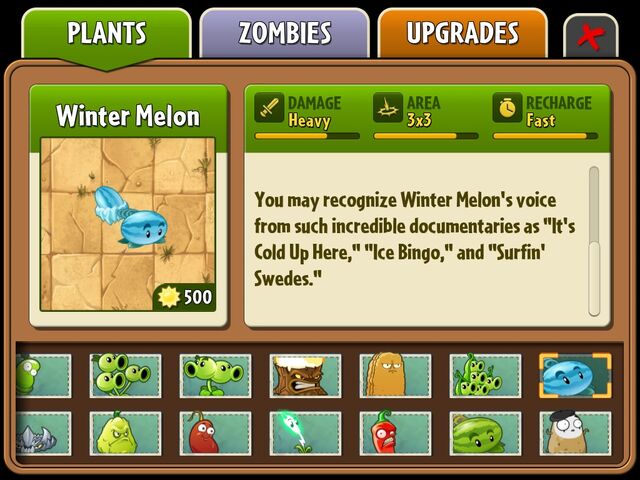 File:Winter melon.jpg