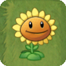 PVZIAT Sunflower (1)
