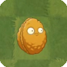 PVZIAT Wallnut