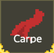 Costumecarpe