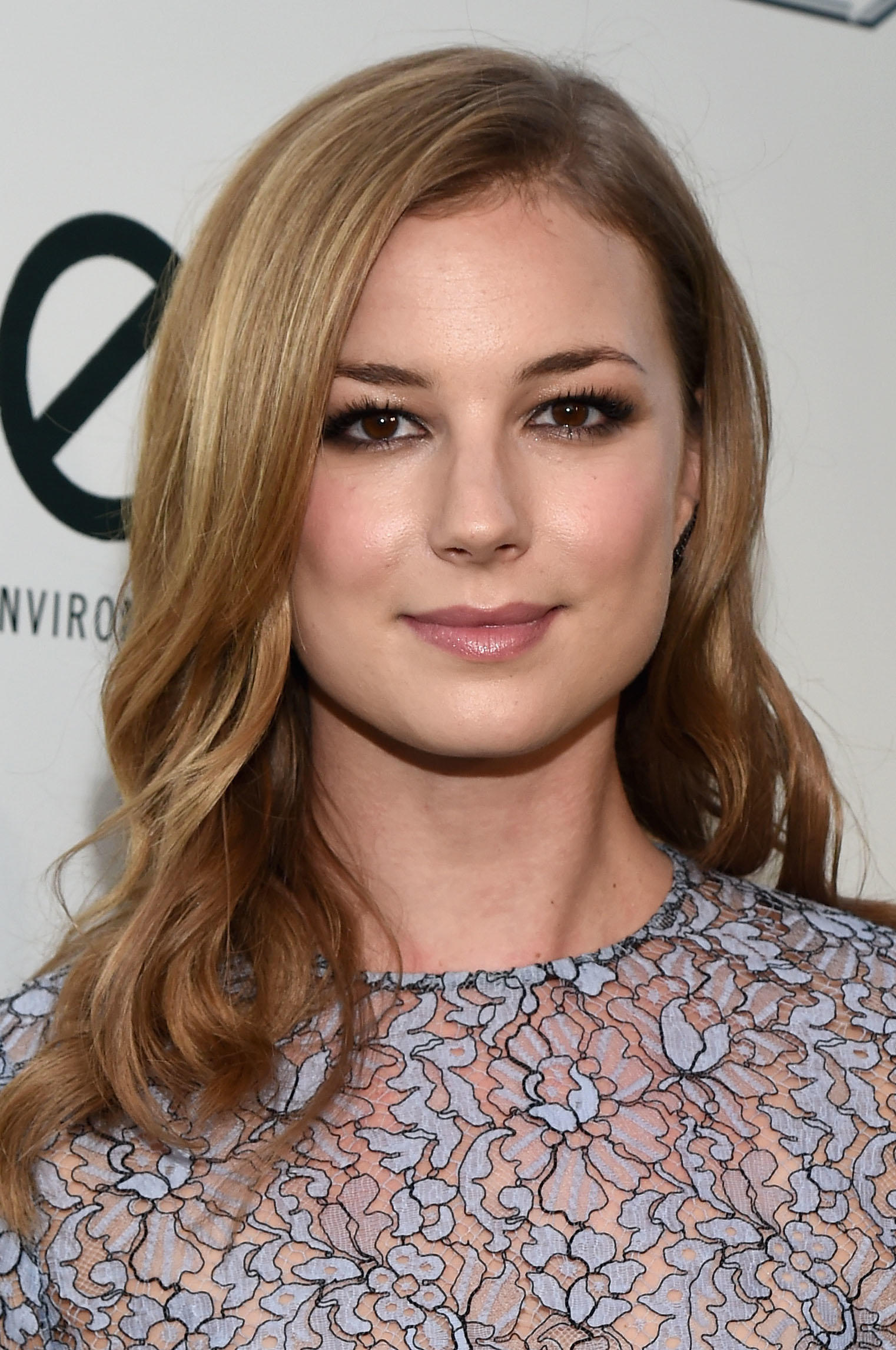 Emily VanCamp | The Resident Wiki | Fandom