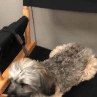 Tasso Feldman | The Resident Wiki | Fandom