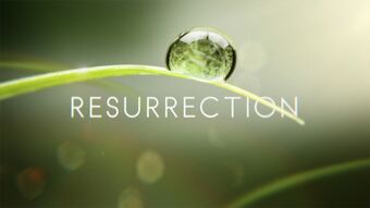 Resurrection The Returned Wiki Fandom