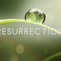 Resurrection The Returned Wiki Fandom