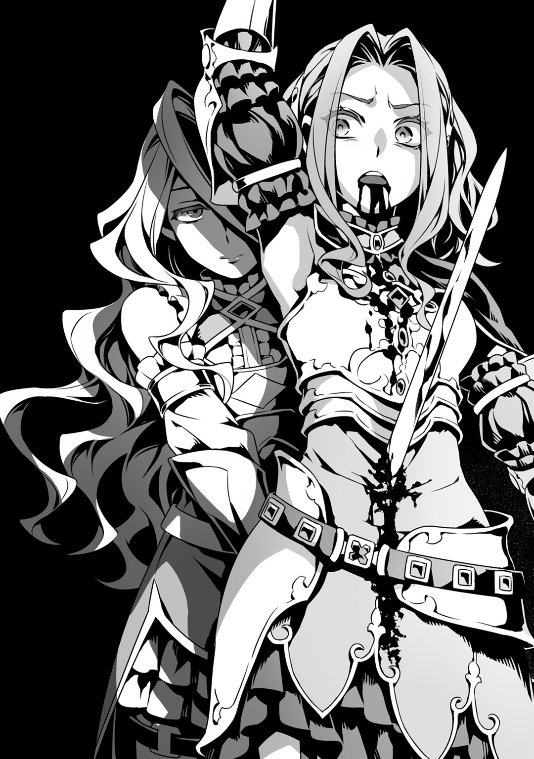 tate no yuusha no nariagari light novel volume 8 tate no yuusha no nariagari light novel volume 8