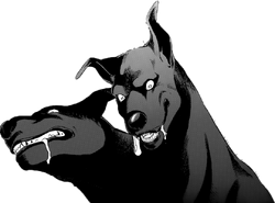 Two-Headed Black Dog