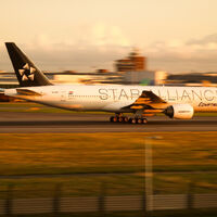 Star Alliance The Roblox Airline Industry Wiki Fandom - egypt air roblox