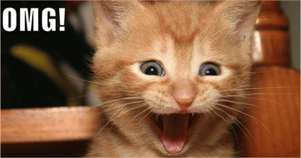 Omg Excited Face Cat Funny Picture Png Omg Excited Face Cat Funny Picture Png
