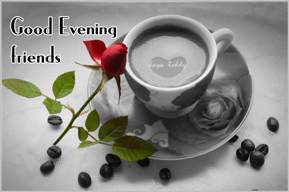 image good evening friends coffee and rosebud gif the secret