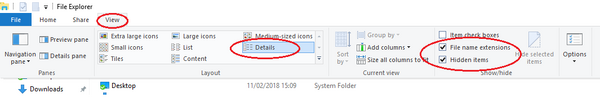 FileExplorerViewSettings