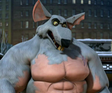 Rat king