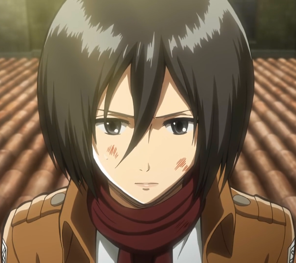 Mikasa Ackerman The Secret World Of The Animated Characters Wiki