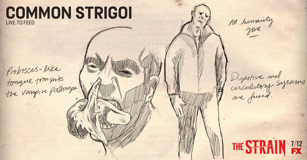 Vampire Strigoi The Strain Wiki Fandom Powered By Wikia - 