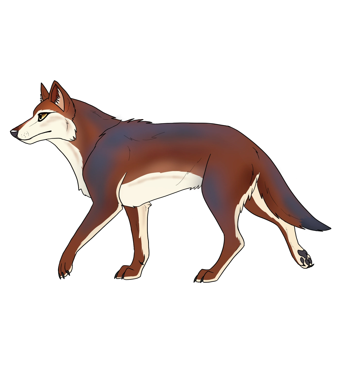 Catori The Summer King Chronicles Wiki FANDOM Powered By Wikia