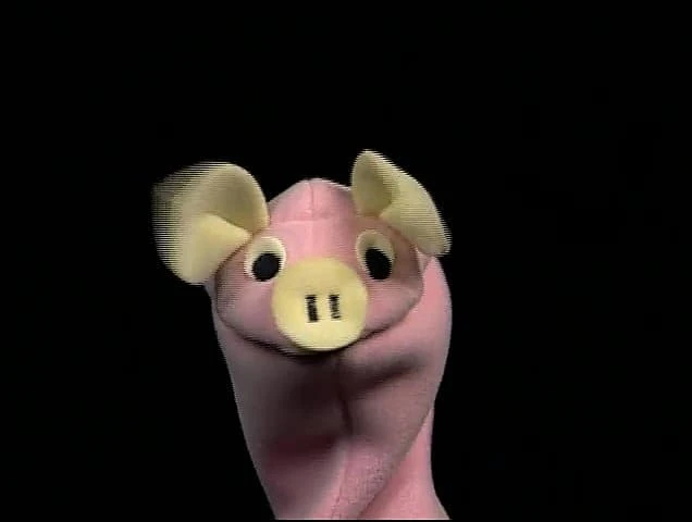 Squirt The Pig The True Baby Einstein Wiki Fandom