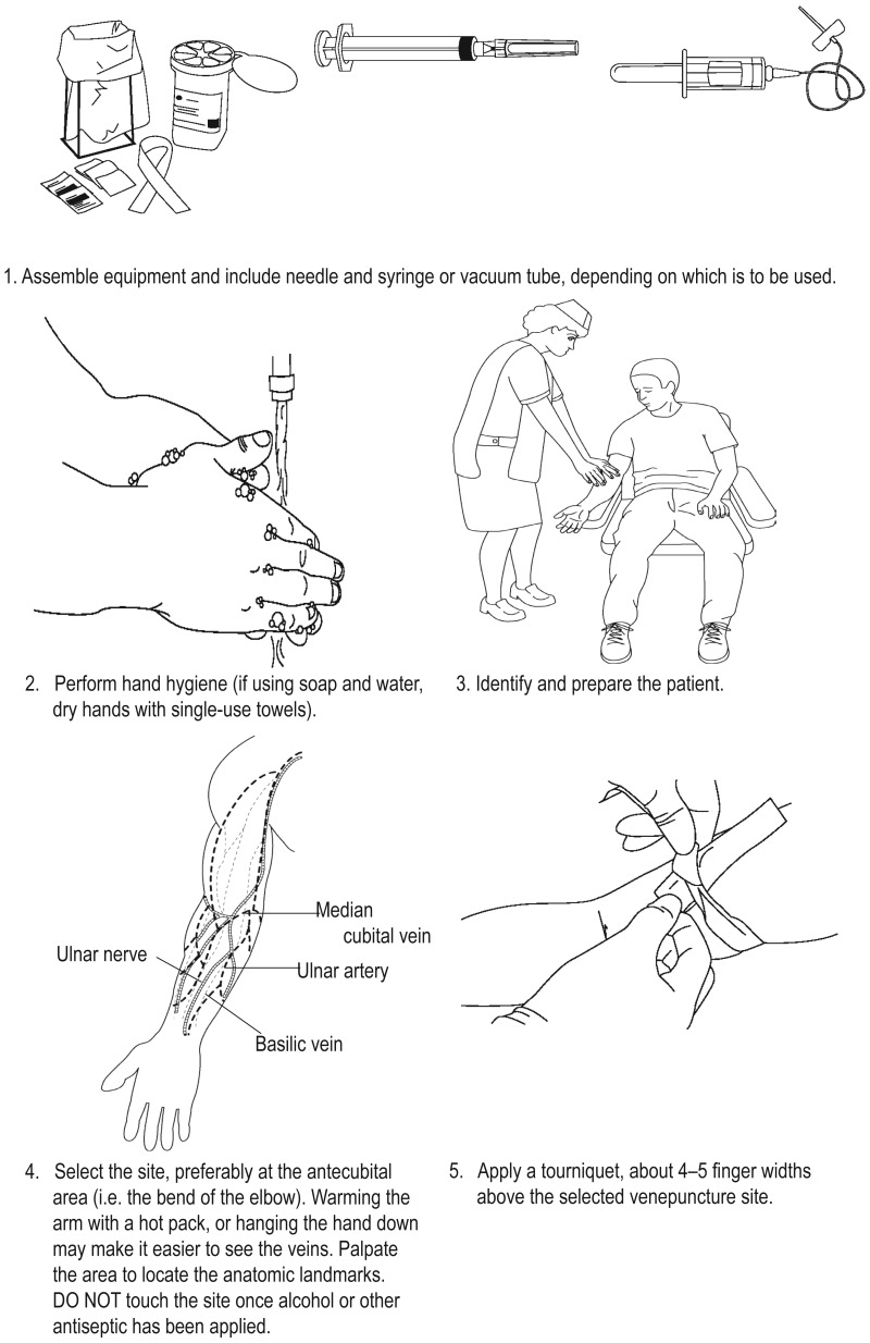 Best Practices in Phlebotomy Blood Collection | The ...