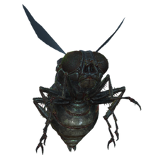Bloatfly