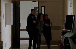 Cops