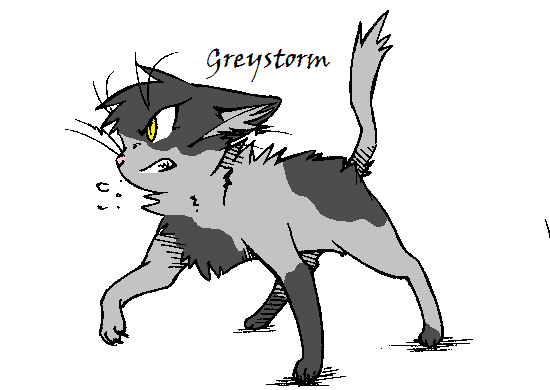 Greystorm The Warrior Cat Roleplay Wiki Fandom