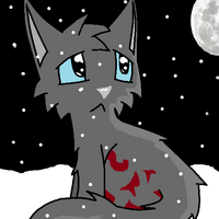 What Could Have Happened Cinderxfire Fanfic The Warrior Cats