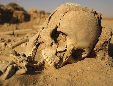 Lord of the Wastes