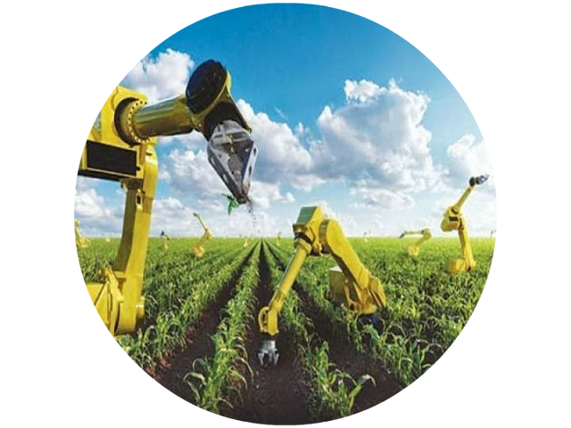 File:Farming land.png