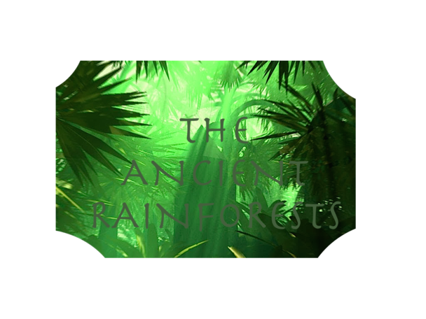 Banner thingy???