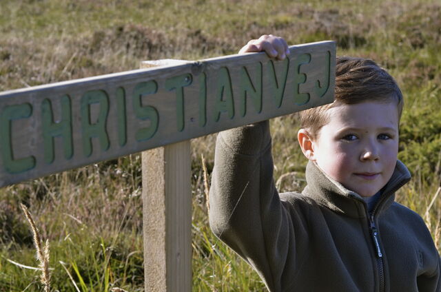 File:Prins-christian-syv-4.jpeg