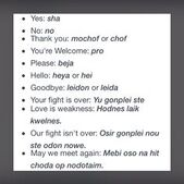 Trigedasleng language chart2