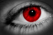 Bellatrix's Eye