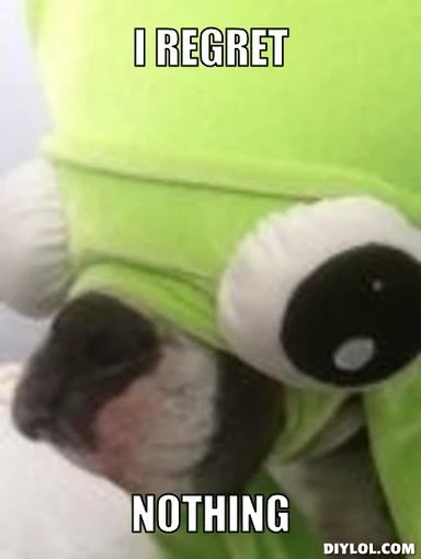 Image - Squid-dog-meme-generator-i-regret-nothing-391f73.jpg | The