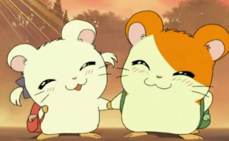 Kuvahaun tulos haulle hamtaro and bijou