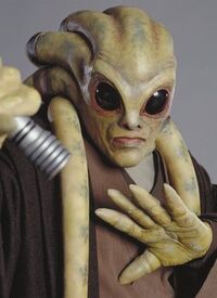 Kit fisto