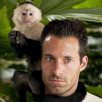 Kong The Anaconda Series Wiki Fandom