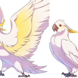Camio | The Arcana (game) Wiki | Fandom