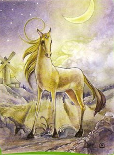 Picture 179
