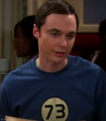 73 The Big Bang Theory Wiki Fandom