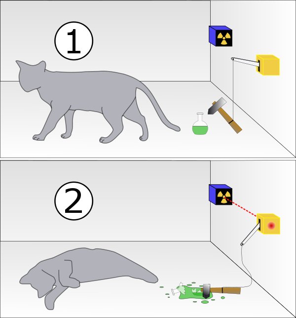 Resultado de imagen de Segunda versiÃ³n del gato de SchrÃ¶dinger