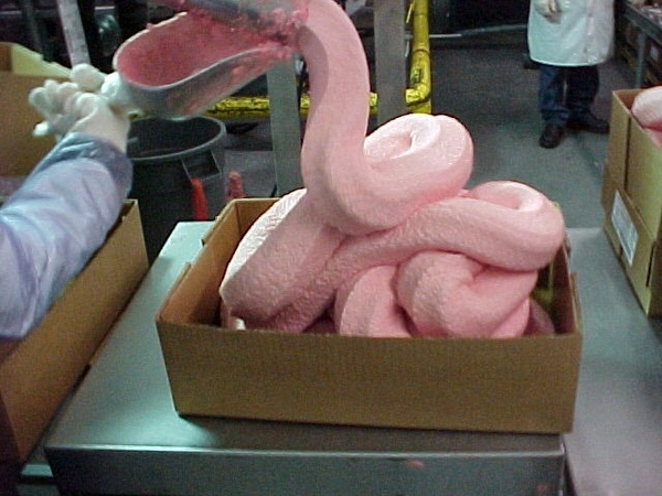 the truth behind the chicken nugget the big e wiki fandom