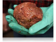 Nuggetmeat