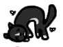 Dead Cat