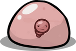 Blastocyst