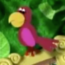 Parrot