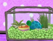 Nurture! | Blue's Clues Wiki | FANDOM powered by Wikia