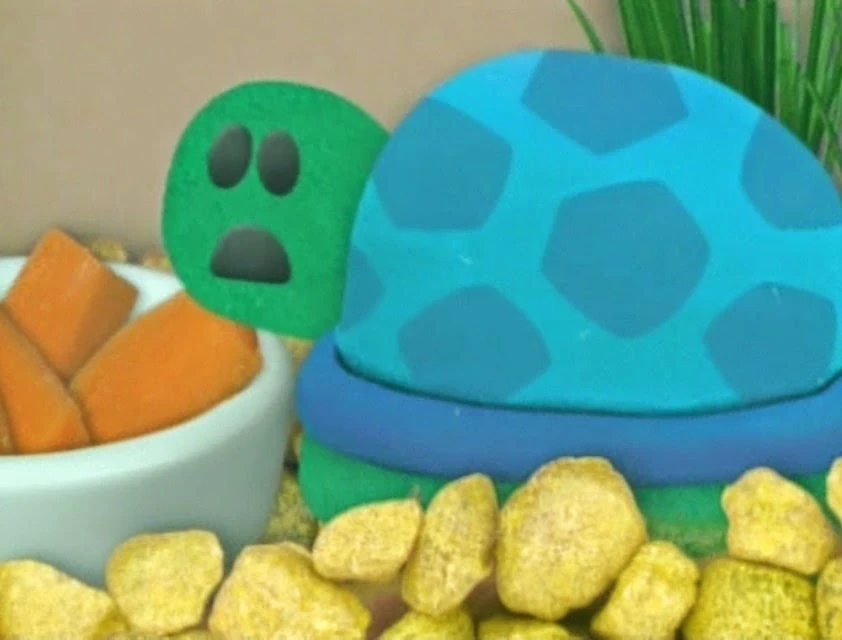 Image Shy Turquoise.jpg Blue's Clues Wiki FANDOM powered by Wikia