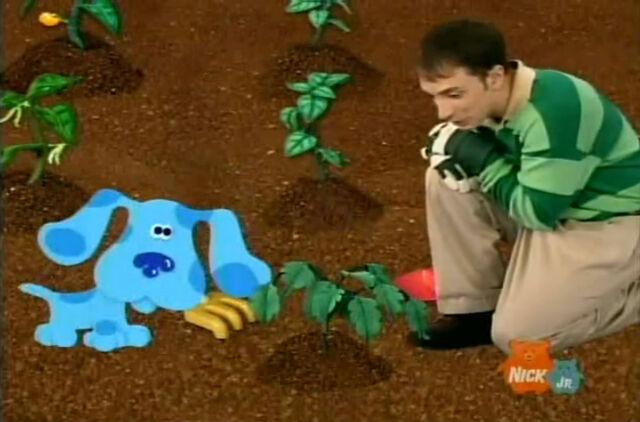 Image - Let's Plant! 013.jpg | Blue's Clues Wiki | FANDOM powered by Wikia