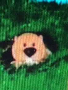 Gopher in a hole