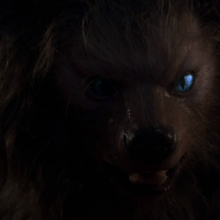 Jordan Sands Gallery The Boy Who Cried Werewolf Wiki Fandom