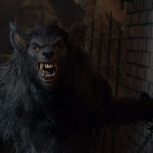 Hunter Sands Gallery The Boy Who Cried Werewolf Wiki Fandom