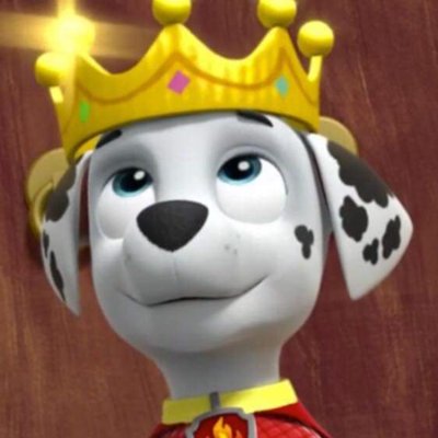 paw patrol sams